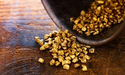 FY23 marks advances across Platina Resources’ (ASX: PGM) high-potential gold projects