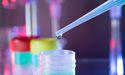Bolstered portfolio, advanced clinical programs: Chimeric (ASX:CHM) sees action-packed FY22