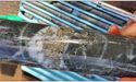 First Au (ASX:FAU) shares jump on encouraging copper assays from Dogwood project