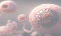 Learn how Chimeric (ASX:CHM) is targeting cell therapies for cancer treatment