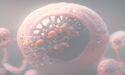 Chimeric (ASX:CHM) advances CHM 1101 clinical trial with dosing completion in third dose cohort