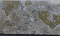 Cannindah (ASX:CAE) welcomes high-grade Cu-Au-Ag drill intercepts from Mt Cannindah