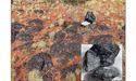 Black Canyon (ASX:BCA) H1 marks Flanagan Bore MRE upgrade, impressive scoping study & HPMSM testwork