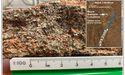 Surefire (ASX:SRN) reports massive, wide & continuous vanadium intersections at Victory Bore