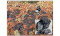Black Canyon (ASX:BCA) defines new manganese targets, announces HPMSM variability study