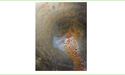  Raiden Resources (ASX:RDN) Acquires Rights to 85% of Crixás Gold Tailings Project, Brazil 