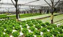  Roto-Gro Announced First Delivery And Installation Of 24 Rotogro Systems For Miracle Valley 