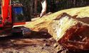  Ramelius Resources Issues 10th Supplementary Target’s Statement For The Acquisition Of Explaurum 