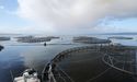  Tassal Expects Gradual Growth Curve For Salmon While It Prepares New Runway With Prawns 