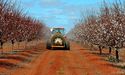 Select Harvests Limited Reported NPAT Growth of 96% In H1 FY19