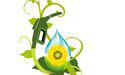  Is green gas a good option for your home or business? 