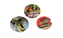  Latest IP Survey and Gold Results Boost SLAM Exploration’s (TSXV:SXL) Project Potential 