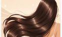 Best Shampoos to Fight Dandruff and Hair Fall 