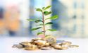 5 Small-Caps Stocks Seen In Green – GRV, BD1, QFY, IXU and ARM
