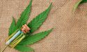  THC Global: Cannabis Ops Secures Export License; Signs Land Lease Agreement With EVE 