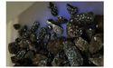  Viking Mines (ASX:VKA) Advances Linka Tungsten Project with Positive Ore Sorting Results 