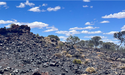 Viking Mines (ASX: VKA) earns 25% stake in Canegrass, progresses to stage 2 of Farm-in Agreement