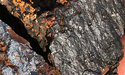 Vanadium Resources (ASX: VR8) appoints highly experienced financier Tim Feather as CFO