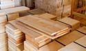 Is Interfor (TSX:IFP) Strengthening Its Position In The Forestry Sector On The TXCX And TXTW?