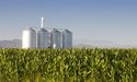 Alterra Completed Its Internal Restructure Process