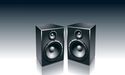  Audio Pixels Provided An Update On The Digital Speaker Development. 