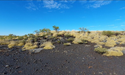 Black Canyon (ASX: BCA) eyes high-grade manganese at promising Wandanya target