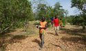 Blina Announced Restructuring of Board; RC Drilling Completed at Barkly Gold-Copper Project