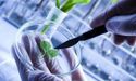  Bioxyne extends its footprint to Indonesia as it acquires majority ownership in an Indonesian sales company 