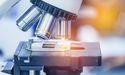  Enanta Pharmaceuticals (ENTA) Anticipated to Release Quarterly Earnings on Wednesday 