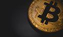 Bitcoin Holds Steady at $93,000 as Altcoins See Mixed Performance