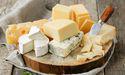  How did Bega Cheese (ASX:BGA) shares perform today? 