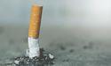  British American Tobacco (LSE:BATS) Share Price Crosses Key Moving Average Amid Sector Focus 