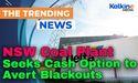 NSW Coal Plant Seeks Cash Option to Avert Blackouts