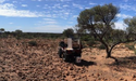  Inside Catalina Resources' (ASX: CTN) proposed drilling for Laverton Project 