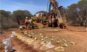  Catalina Resources (ASX: CTN) first half focuses on advancing drilling at Laverton 