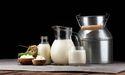 Canadian Dairy Sector Focus Saputo Inc (TSE:SAP) Share Developments 