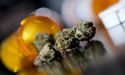  Creso Pharma Ltd.’s Share Mounted on ASX 