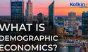 What is demographic economics?