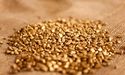 Regis Resources Limited (ASX: RRL) - Regis continues to fall despite confirming to dig more gold