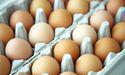 Why are Farm Pride’s (ASX:FRM) shares falling on Thursday?