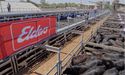 Elders Inked New Partnership Terms With Rural Bank