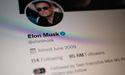  Twitter (TWTR) shares plunge after Musk nixes deal 