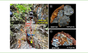  Far East Gold (ASX:FEG) Reports High-Grade Gold Mineralisation Across Multiple Idenburg Prospects 