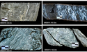  Far East Gold (ASX:FEG): Drilling Confirms New Gold Zones and Depth Extensions at Idenburg 