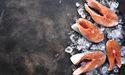 Is High Liner Foods (TSX:HLF) Making Waves In The TSX And S&P/TSX Composite Food Sector?