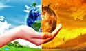 Renewable Energy Industry Under A Check - Higher Prices and Riskier Supply