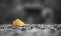  Vector’s Securities Suspended From The Official Quotations On ASX 