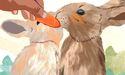 Top 10 Rabbit-Safe Foods You Already Have at Home