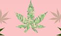 A Glimpse At 7 Cannabis Stocks: BDA, MMJ, CAN, THC, CPH, ZLD, RNO