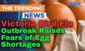  Victoria Bird Flu Outbreak Raises Fears of Egg Shortages 
